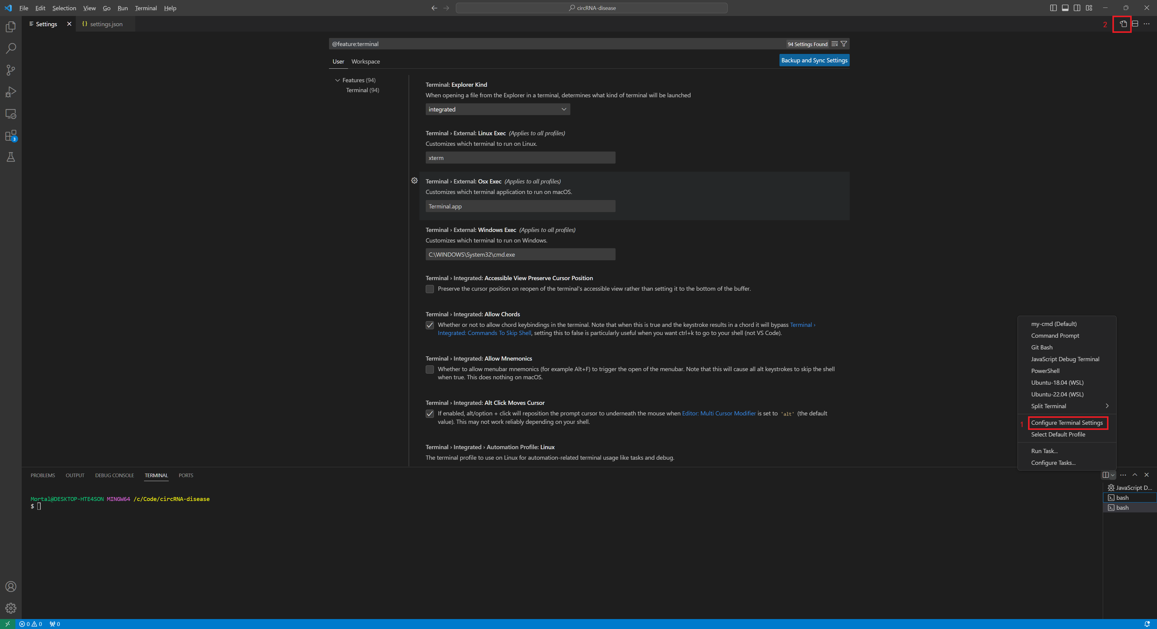 settings.json - circRNA-disease - Visual Studio Code 2023_11_15 17_44_23.png